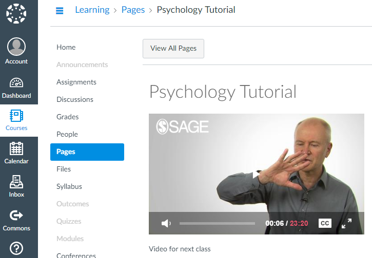This is an image of a Sage Research Methods video on a Learning Management System