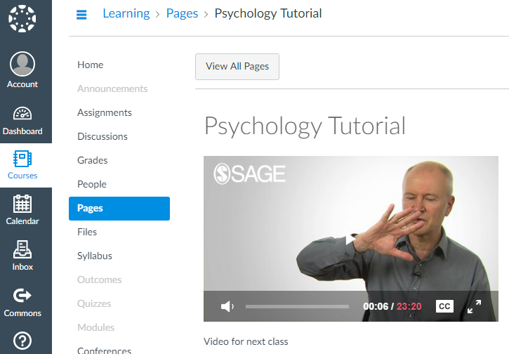 This is an image of a SAGE Research Methods video on a Learning Management System